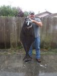 Rob Freeman from Eureka, CA  with 72 lb. Hali